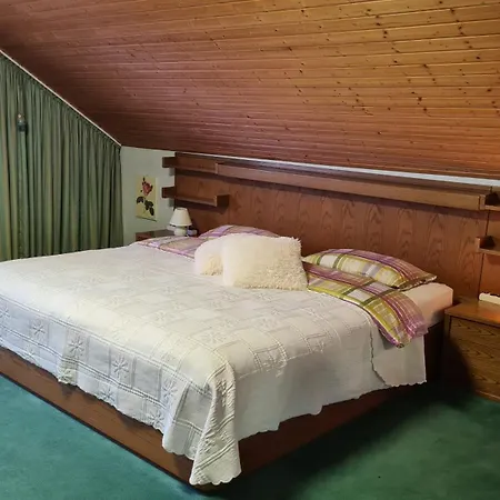 Eifel Doppel-ferienhaus Vakantiehuis